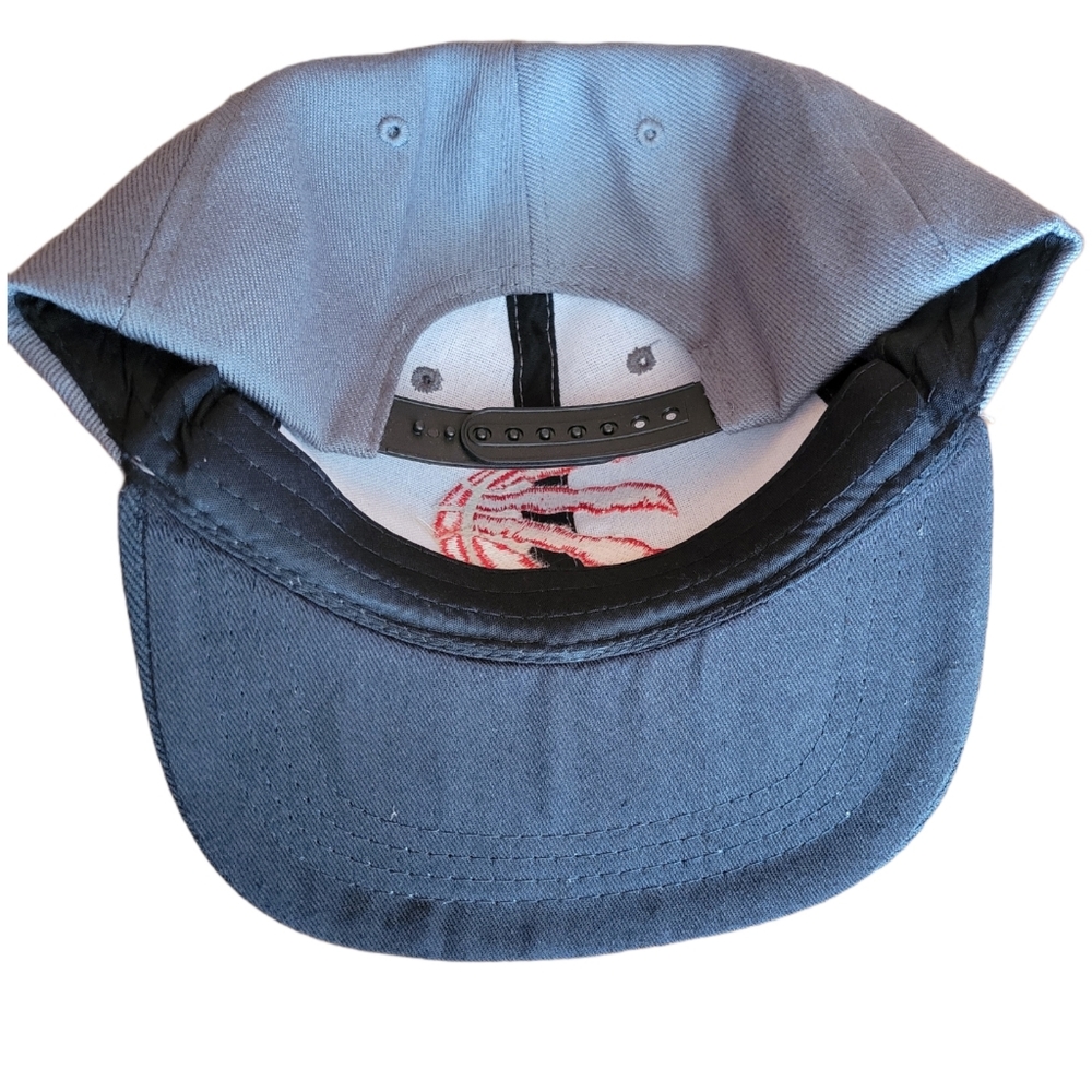 Toronto Raptors NBA Basketball Adjustable Snapback - Picture 4 of 5